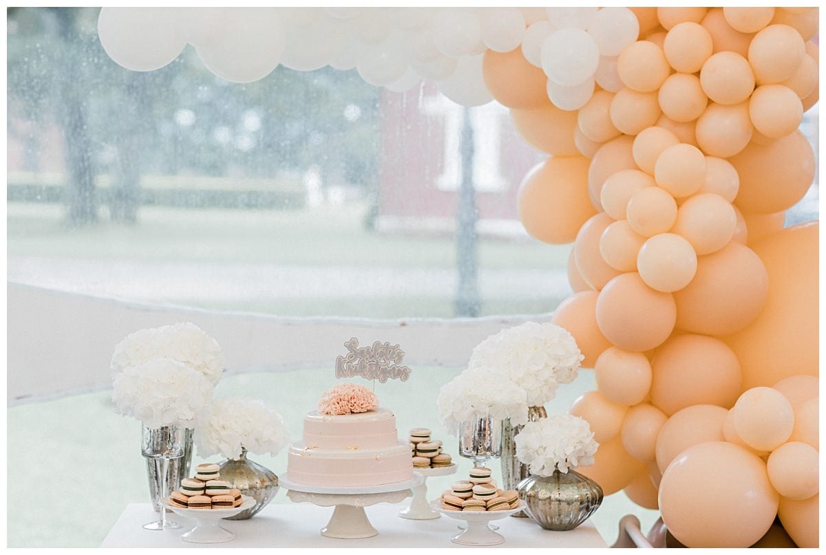 Big little day, Raudondvario dvaro oranžerija, Jurgita Lukos Photography, Krikštynų fotografė